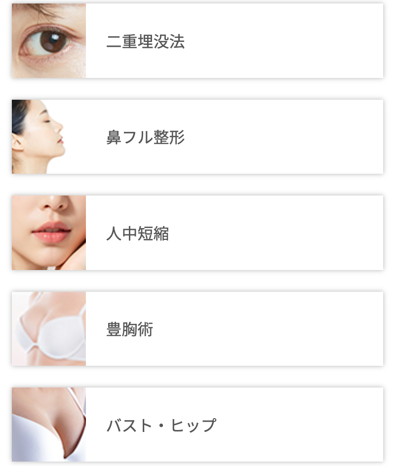 メニュー一覧の紹介画像2