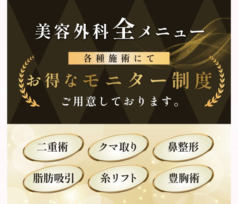 モニターメニューの説明画像