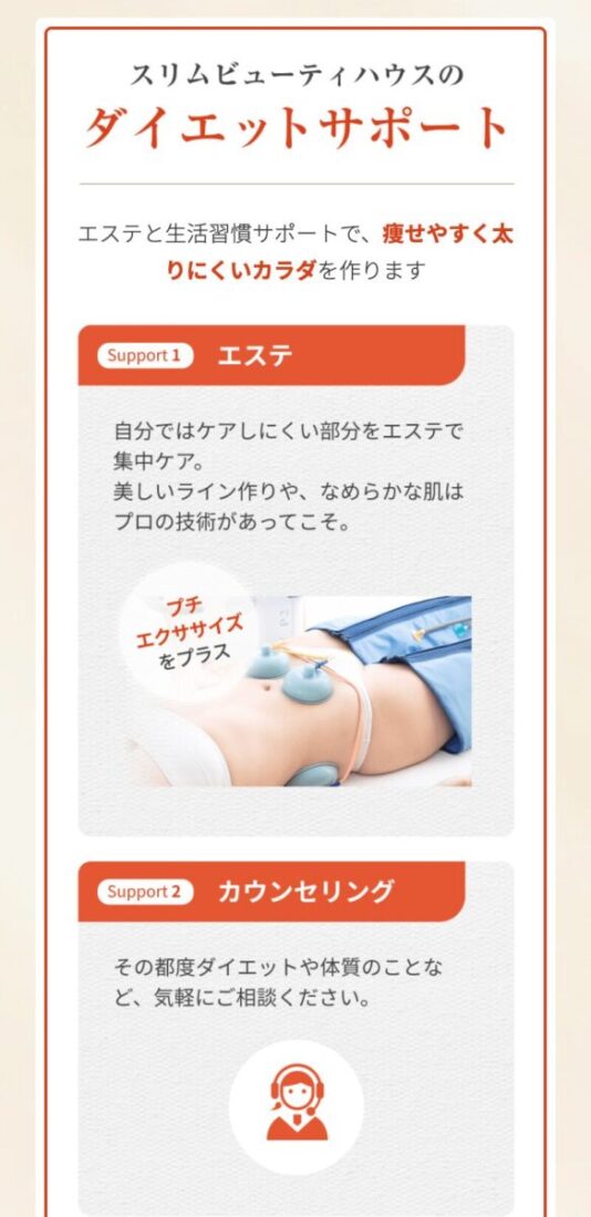 サポート内容の説明画像