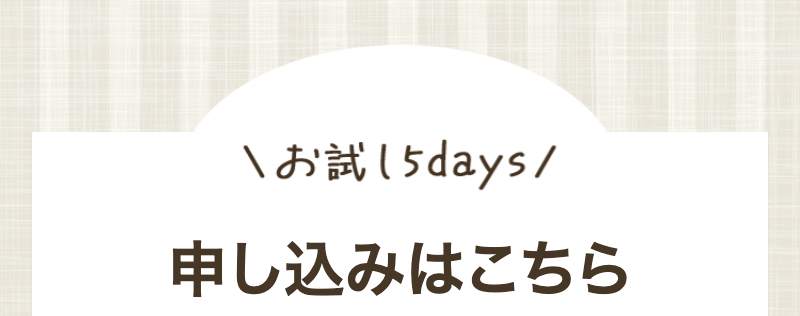 申し込み案内の画像